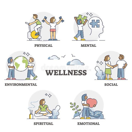 types of wellness
